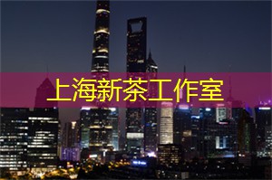 独具匠心的上海论坛活动：引领时尚成为城市发展的先驱！